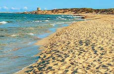 Guía de Ibiza